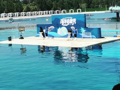 -秦皇岛乐岛海洋王国