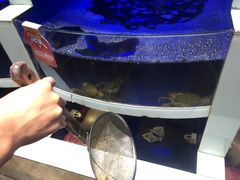 -七欣天香辣蟹火锅(无锡金太湖国际城店)