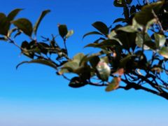 -南京金牛湖风景区