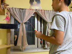 -Meowの猫咖(万家丽店)