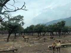 -西安秦岭野生动物园