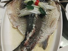-千灯盛汇·头牌粤菜(致越优城店)