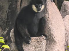 -深圳野生动物园