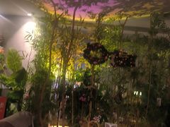 -施奈儿.洗头頭療.按摩SPA.采耳(上梅林店)