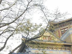 -广州市城市规划展览中心