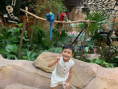 -杭州开元森泊度假乐园