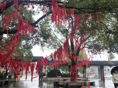 -八大山人梅湖景区