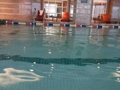 -小海豚国际游泳培训中心(浦东塘桥店)