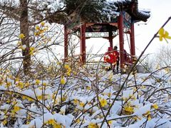 -大兴滨河森林公园