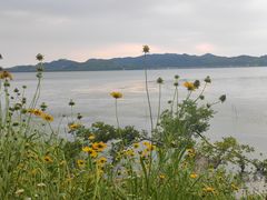 -东钱湖旅游度假区