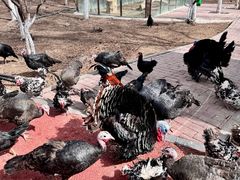 -水上乐园·欢乐世界