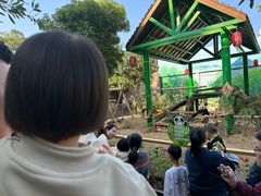 -灵玲国际马戏城