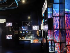 -同济大学四平路校区深海探索馆