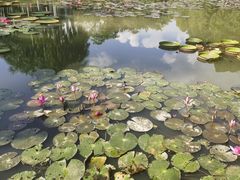 -中国科学院西双版纳热带植物园