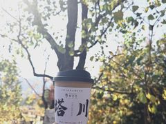 -塔川景区