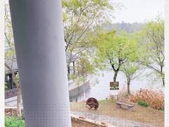 -黑皮酸菜鱼(三山街店)