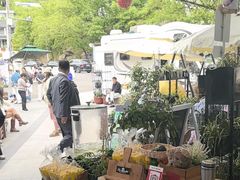 -京北渔家傲