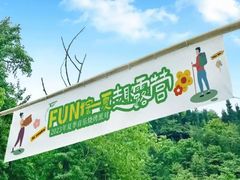 -南山特攻真人CS户外露营轰趴拓展基地