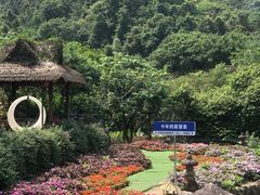 -广东天露山旅游度假区