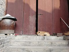-扬美古镇景区