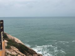 -广东惠东海龟国家级自然保护区