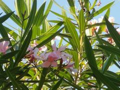 -南宁吴圩国际机场-T2航站楼