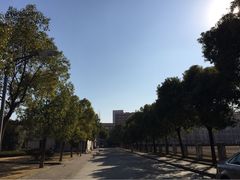 iphone_upload_pic-同济大学(沪西校区)