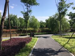 -九科绿洲