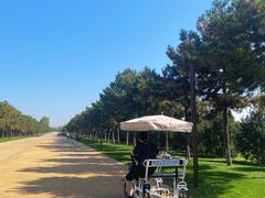 -汉长安城未央宫国家考古遗址公园