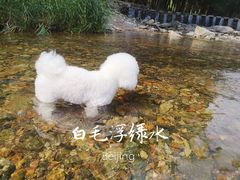 -白河湾生态旅游一条川