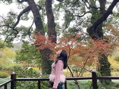 -普陀山雷迪森庄园