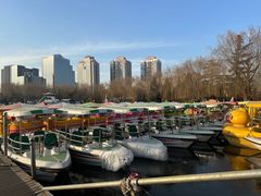 -团结湖公园