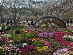 -苏州上方山国家森林公园