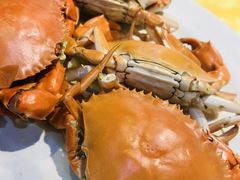 -老字号蛇口德记烧腊饭店·海鲜加工