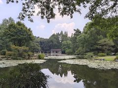 -杭州植物园