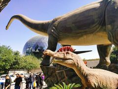 -陕西自然博物馆