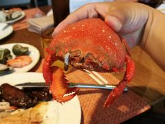 -松咖啡自助餐厅·松北香格里拉