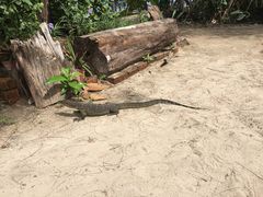 -东姑阿都拉曼海洋公园