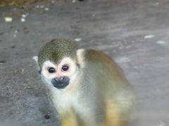 -石家庄市动物园