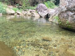 -大鄣山卧龙谷景区