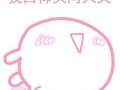 -柴犬高等学院·狗咖·柴犬售卖·宠物训练