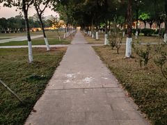 -华南师范大学(广州大学城校区)