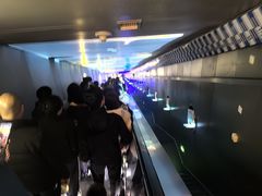 -白鹤梁水下博物馆