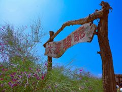 -黄沙古渡原生态旅游区