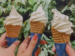-阪急百货店(梅田总店)