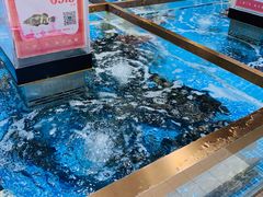 水产区-七鲜超市(通州ONE店)