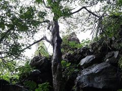 -海口火山口国家地质公园
