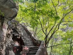 -北京上方山国家森林公园