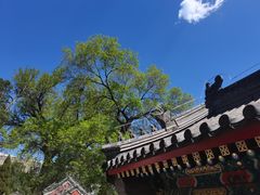 -北京艺术博物馆(万寿寺)