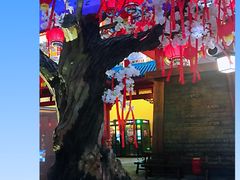 -万达茂商场(南京仙林店)